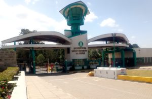 egerton university gate