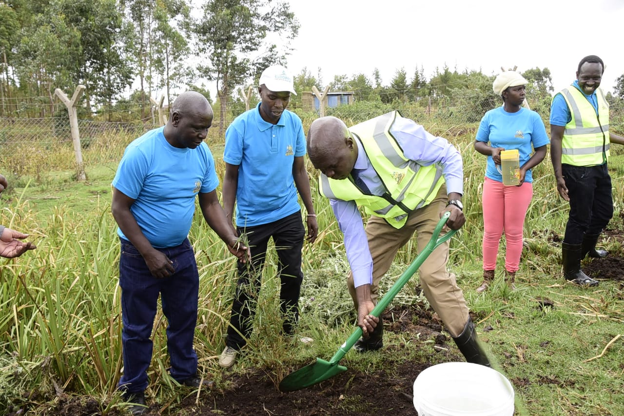CECM Sawe plats a tree during World Water Day celebrations.
