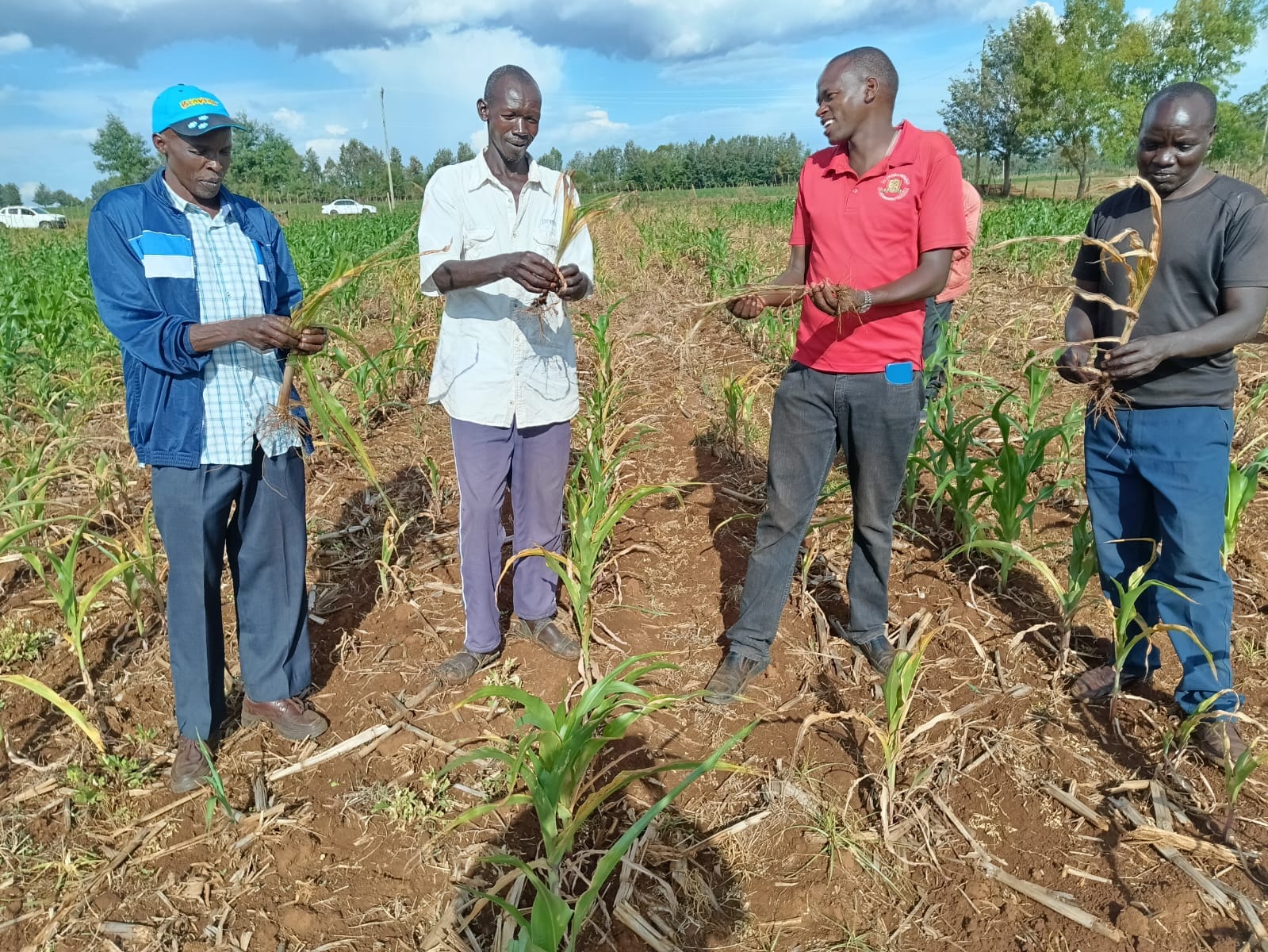 Locals assessing damage that the chemical had caused on the 10-acre piece of land.