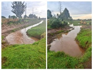 Chesegem and Mugundoi villages in Cheptiret /Kipchamo ward.