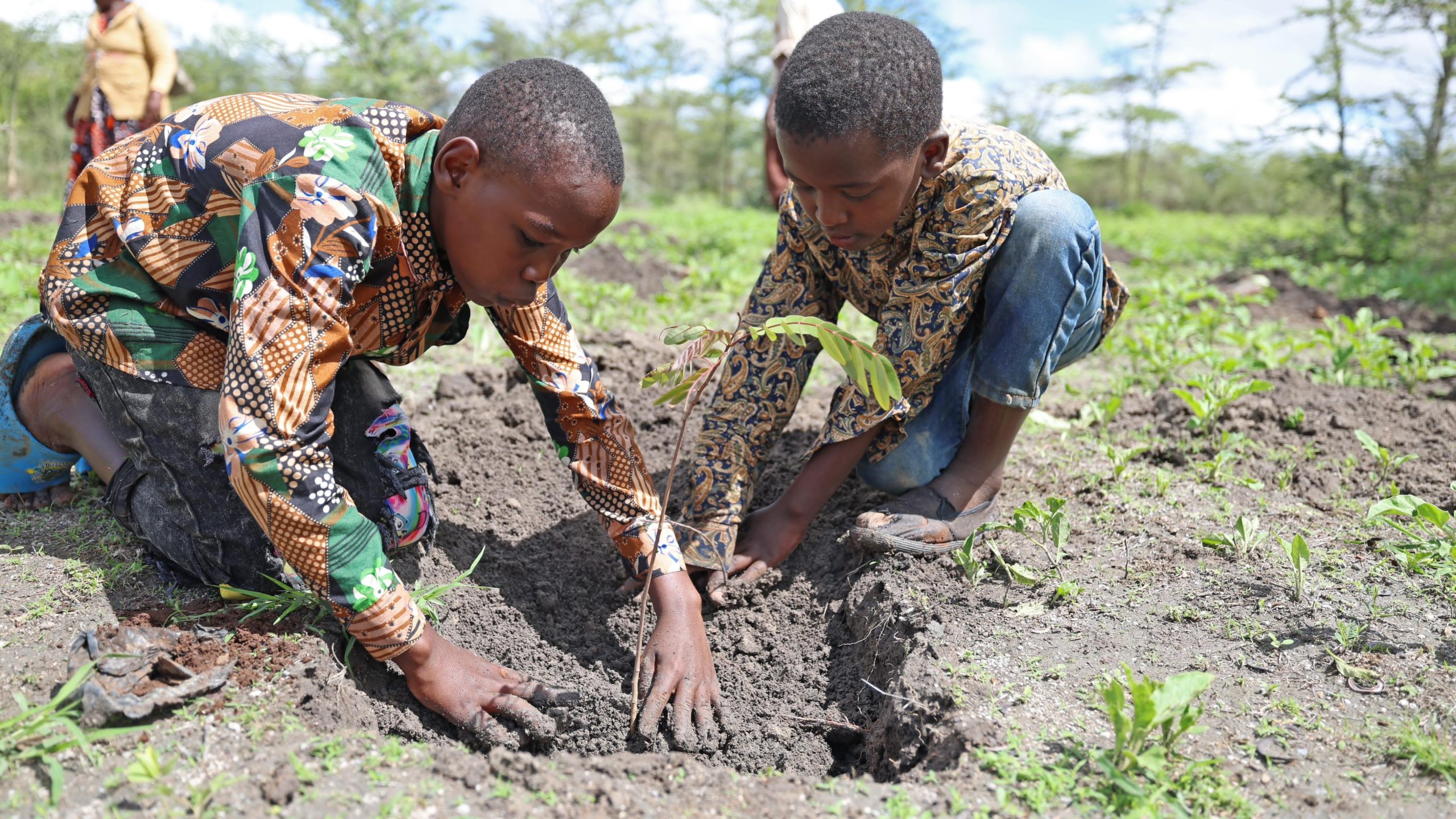 Children plant trees during National Tree Planting Day.