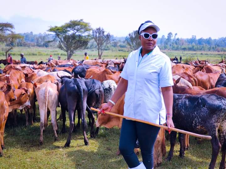 Trans Nzoia: Ksh10 Million Set Aside For Foot And Mouth Disease Vaccination Drive