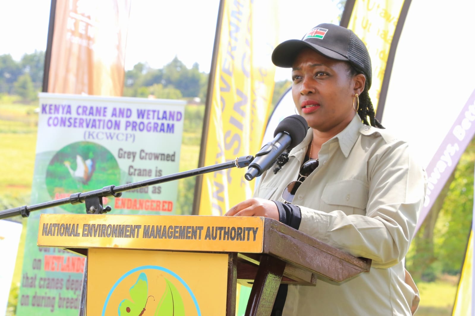 Environment, Climate, and Forestry CS Soipan Tuya