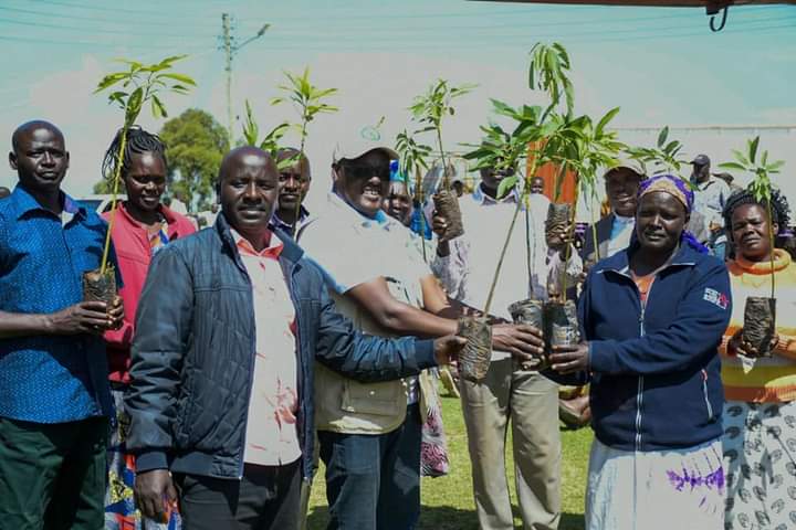 Locals with avocado, coffee seedlings