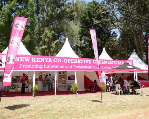 nEW kcc HAS BEEN LISTED FOR PRIVATISATION