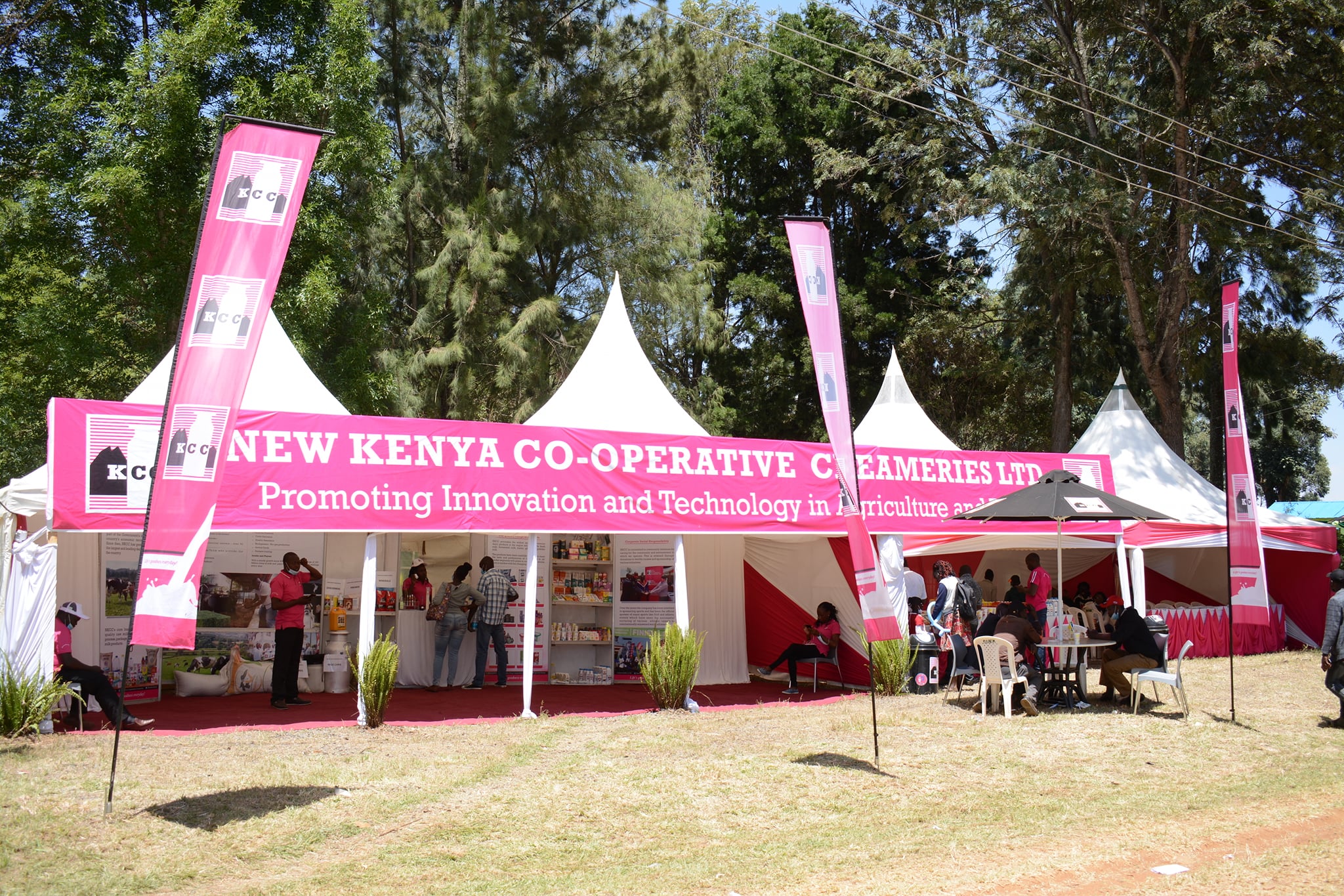 nEW kcc HAS BEEN LISTED FOR PRIVATISATION