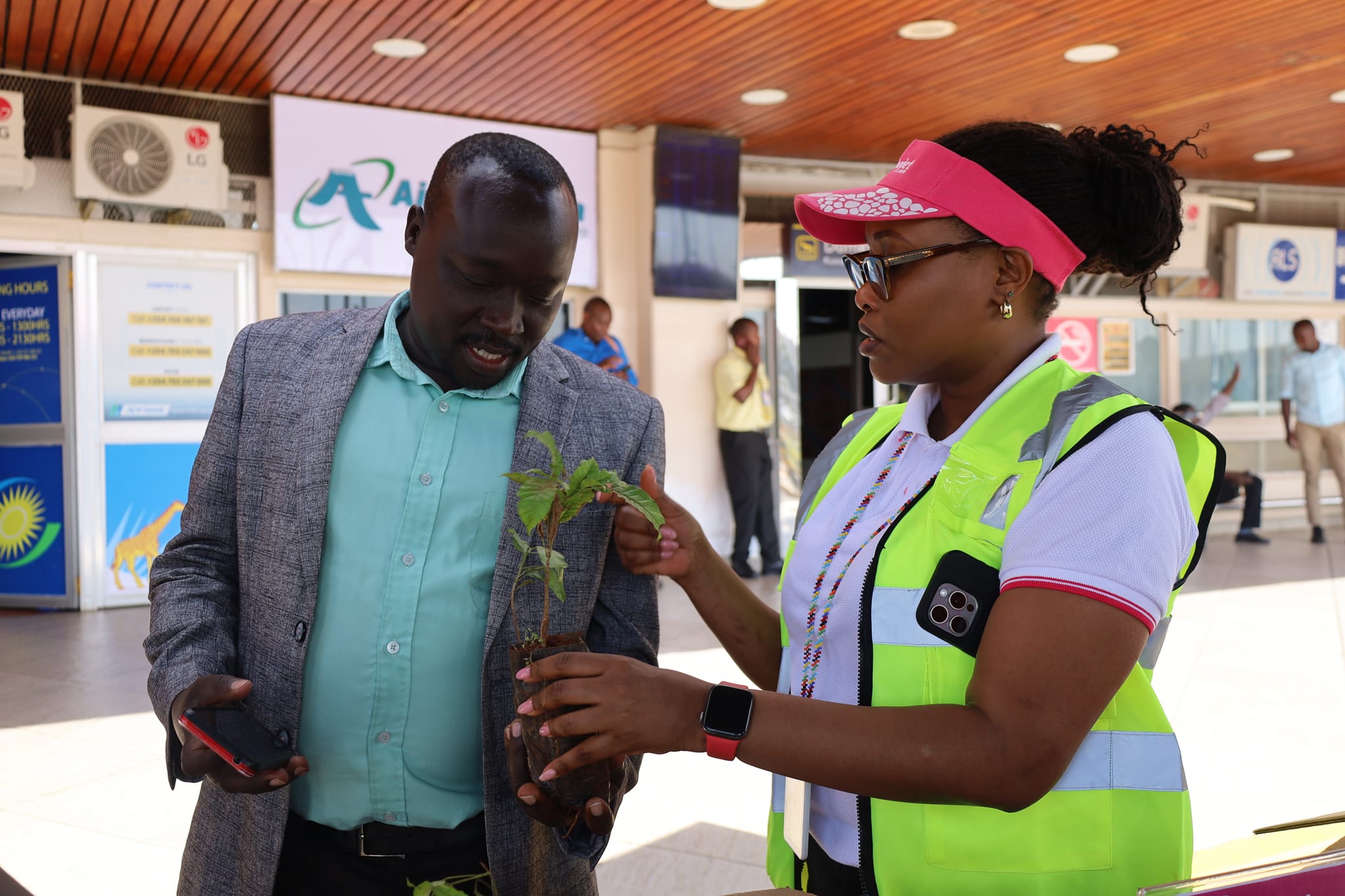 Jambojet distributed tree seedlings to customers at various airport stations