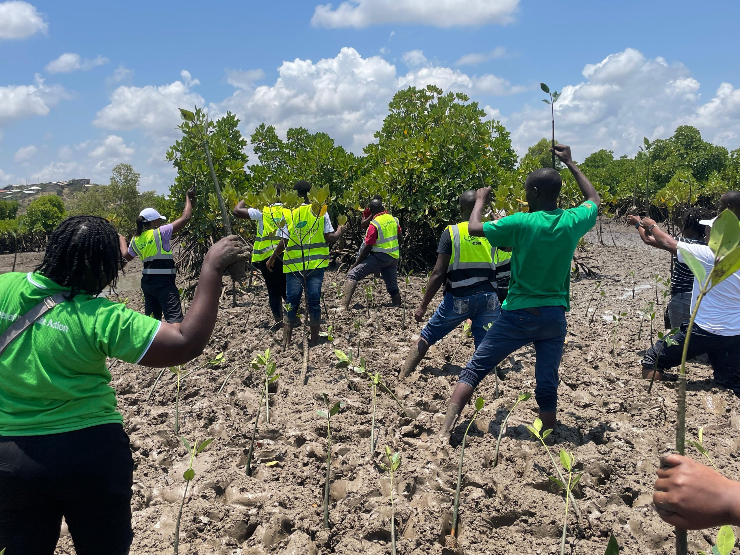 ree planting took place simultaneously in Eldoret and Mangrove planting in Mombasa