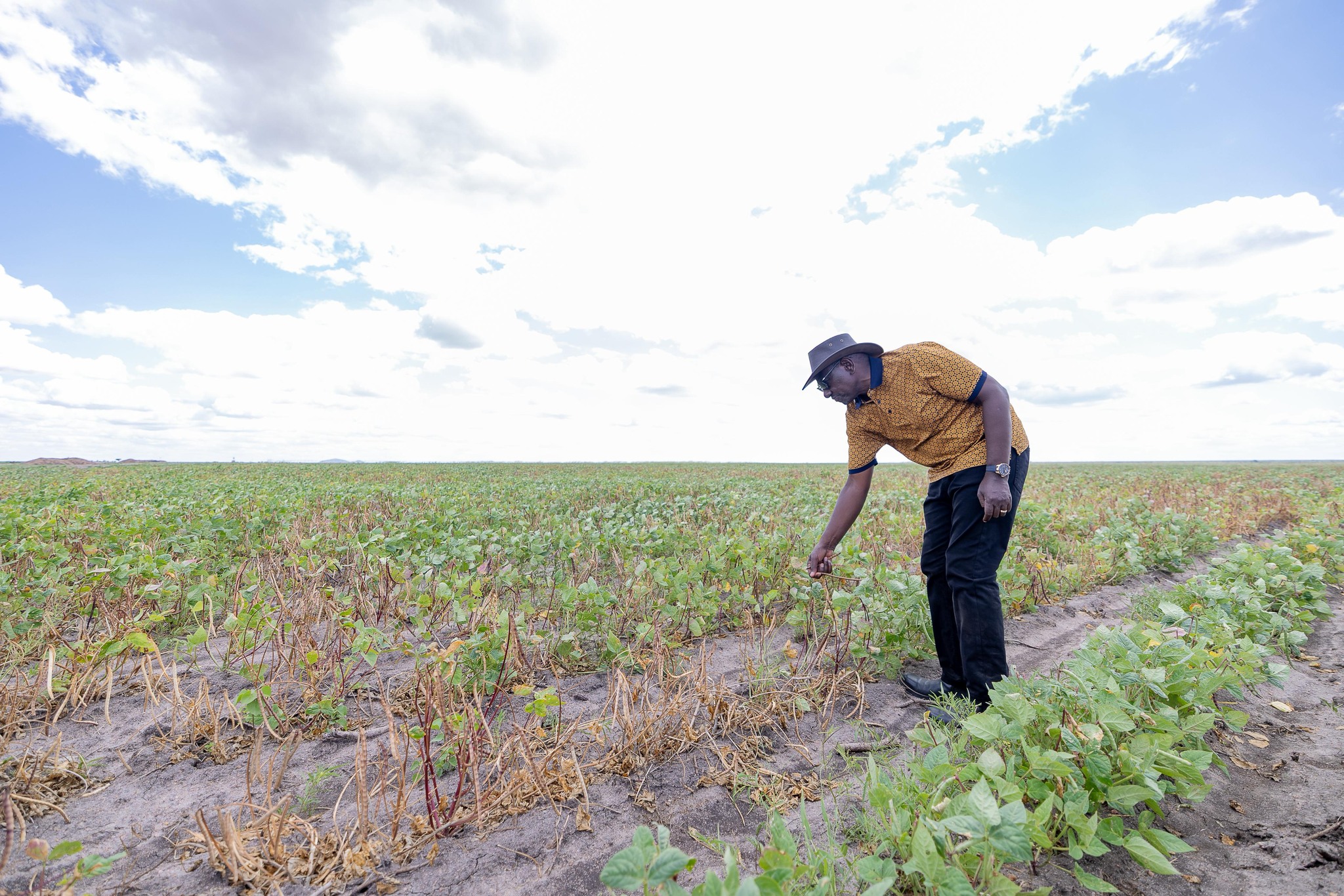 ruto at Galana Kulalu Food Security Project