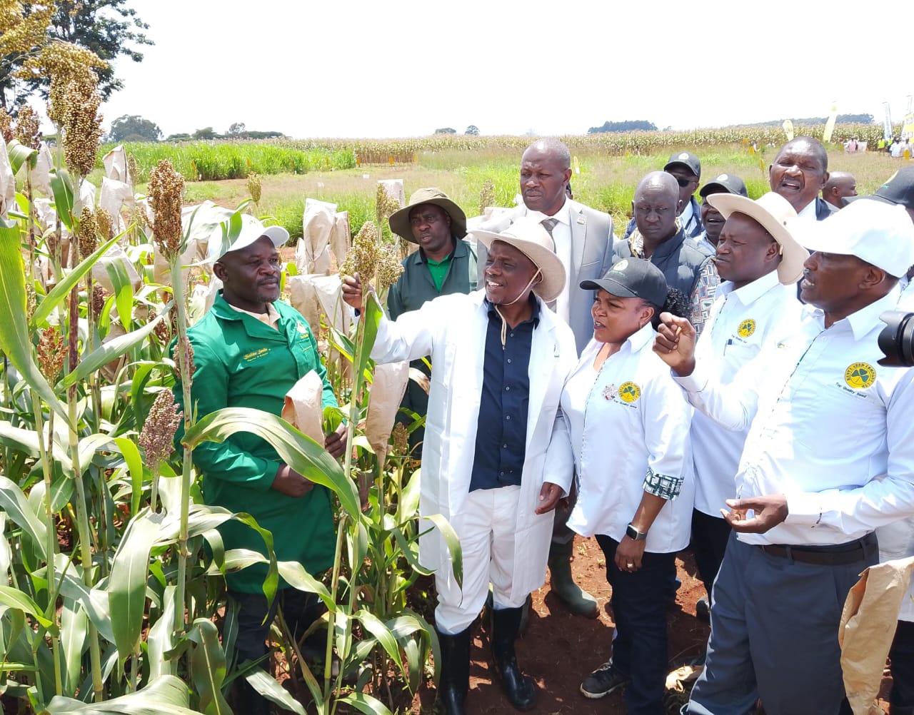 Agriculture Principal Secretary, Kiprono Rono (in white apron) inspecting drought resilient sorghum at the Kenya Seed Company's Elgon Downs Farm