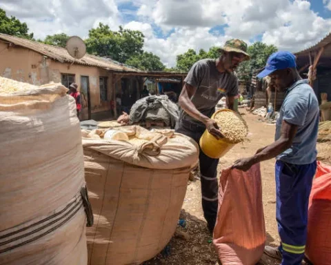 Vendor sells a sack of corn grain to a customer at a market