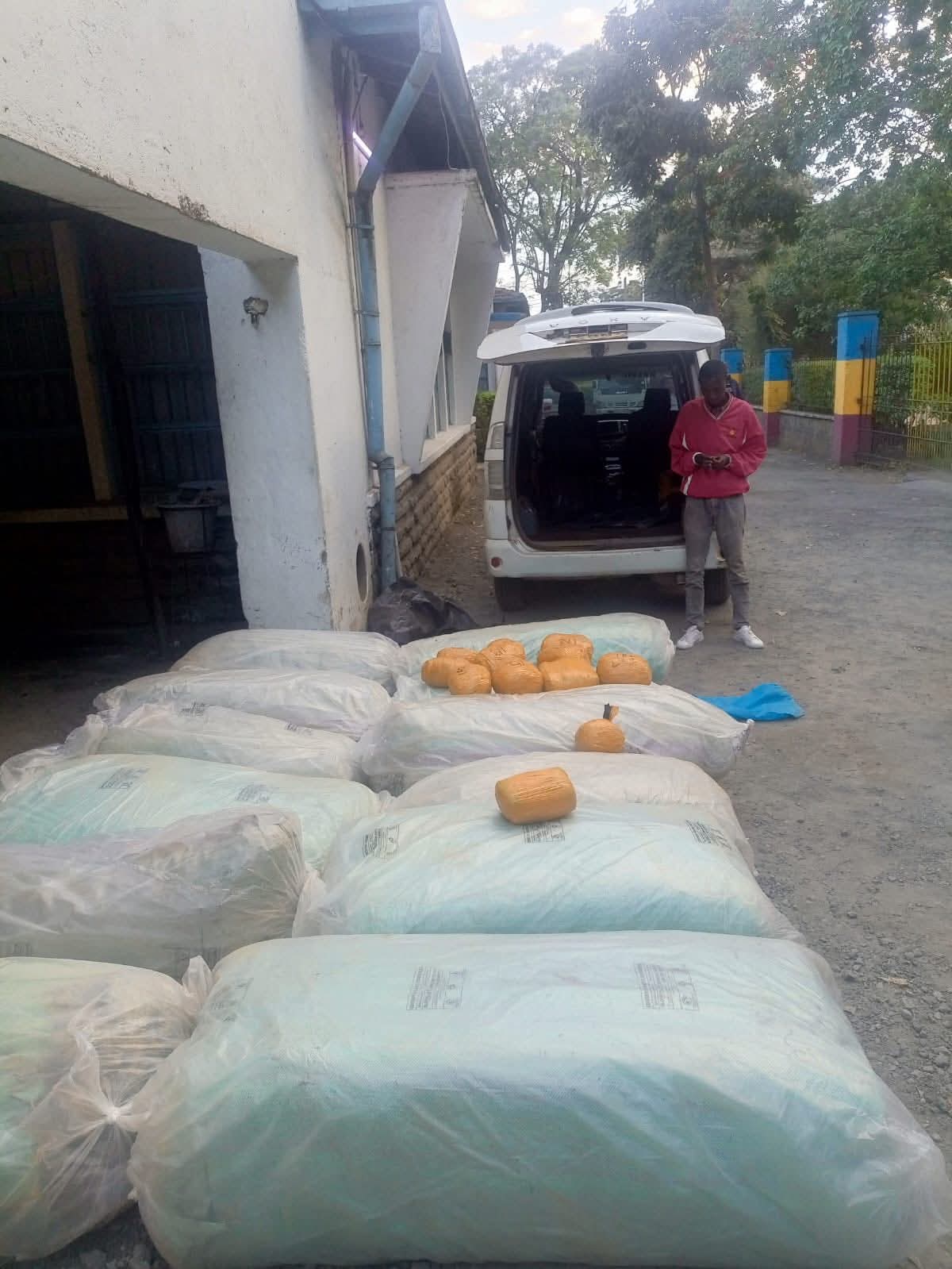 Bhang nabbed in Nakuru by Anti-Narcotics detectives
