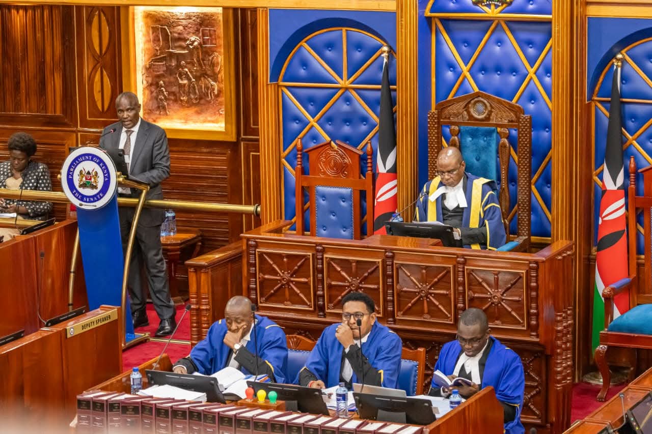 CS John Mbadi in Senate 