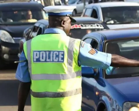 Traffic Police Officer