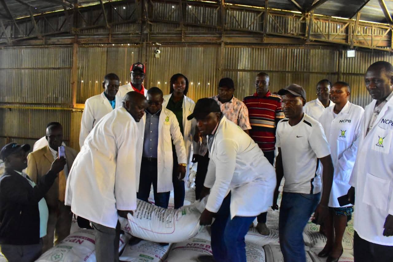 Moi's Bridge NCPB depot fertiliser