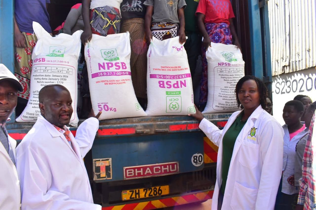 MP David Kiplagat subsided fertiliser Moi's Bridge NCPB 
