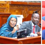 The Prime CS Musalia Mudavadi appeared before Senate Standing Committee on National Security, Defence and Foreign Relations