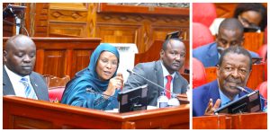 The Prime CS Musalia Mudavadi appeared before Senate Standing Committee on National Security, Defence and Foreign Relations
