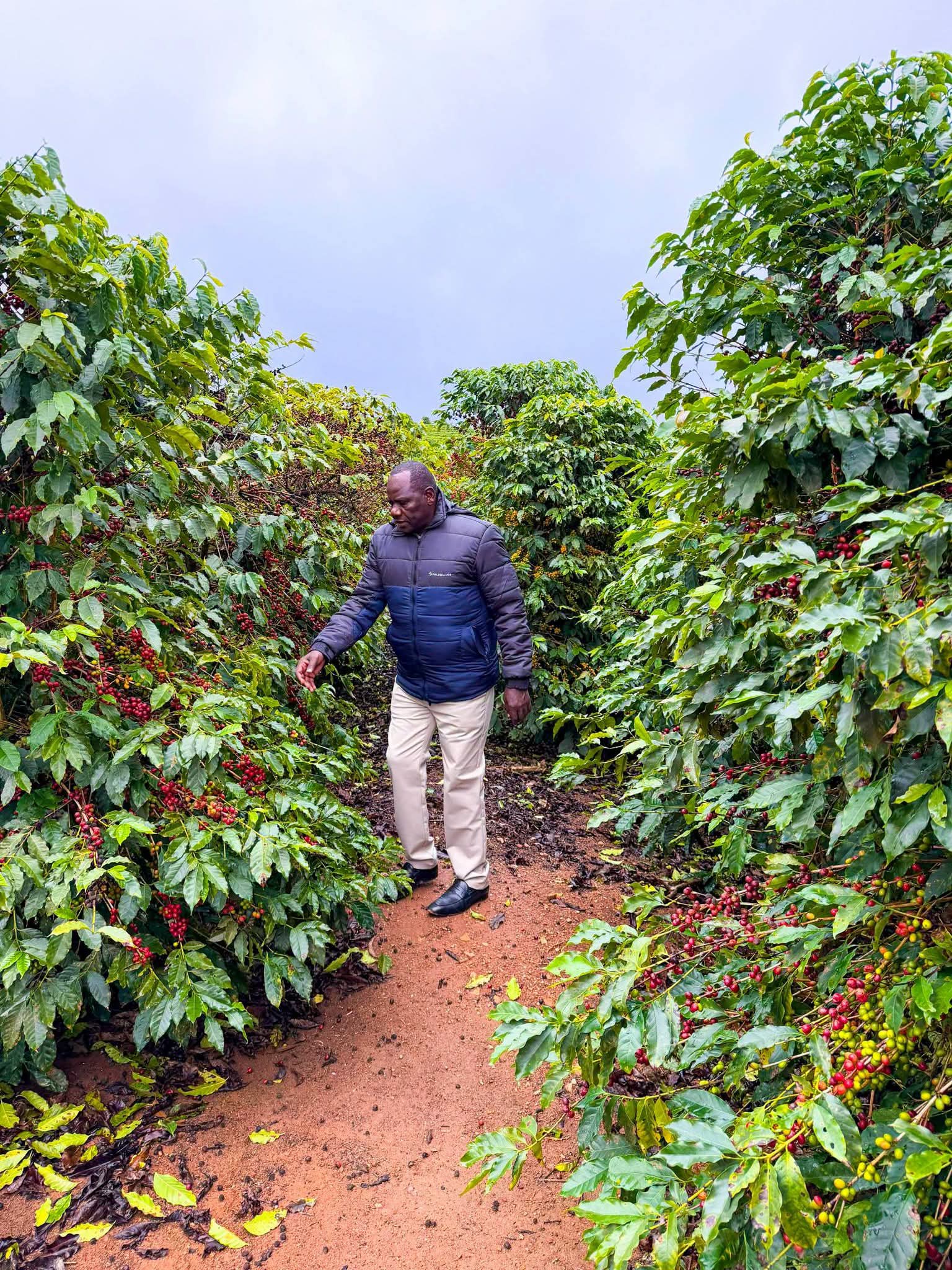 Jonathan Bii visiting coffee farm in Brazil