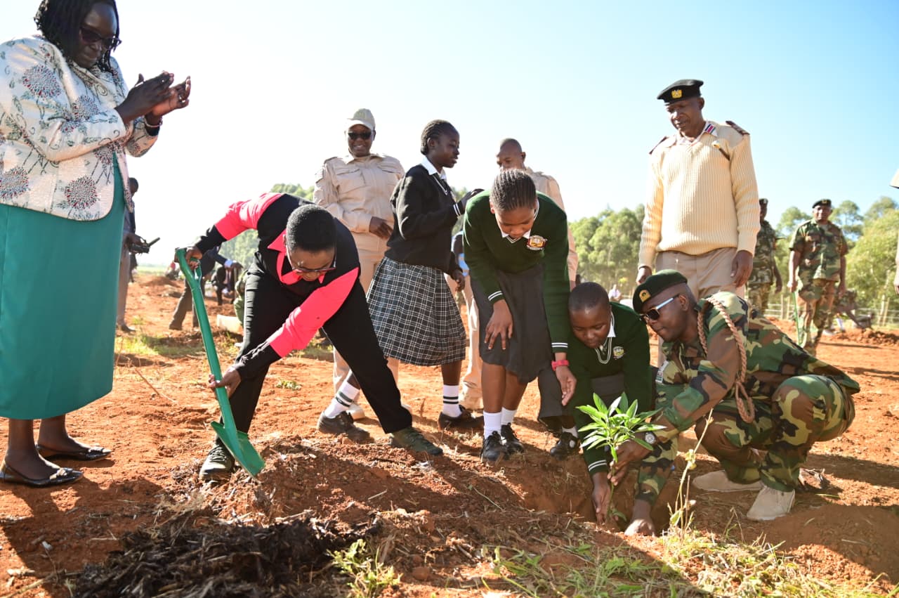 World Environmental Day tree planting 
