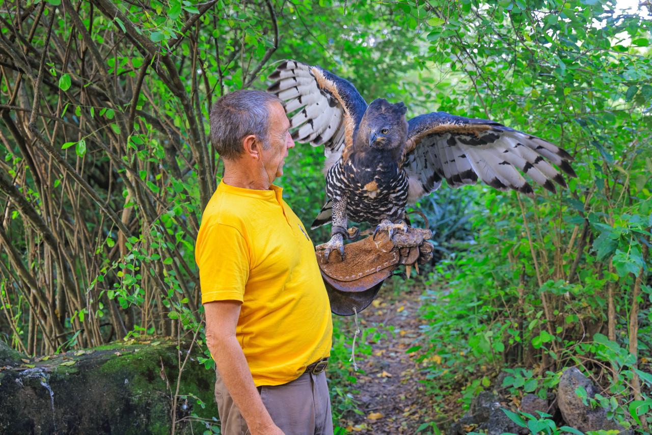 Simon Thomset, Consultant with Sheik Mohamed bin Zayed Raptor Conservation Fund