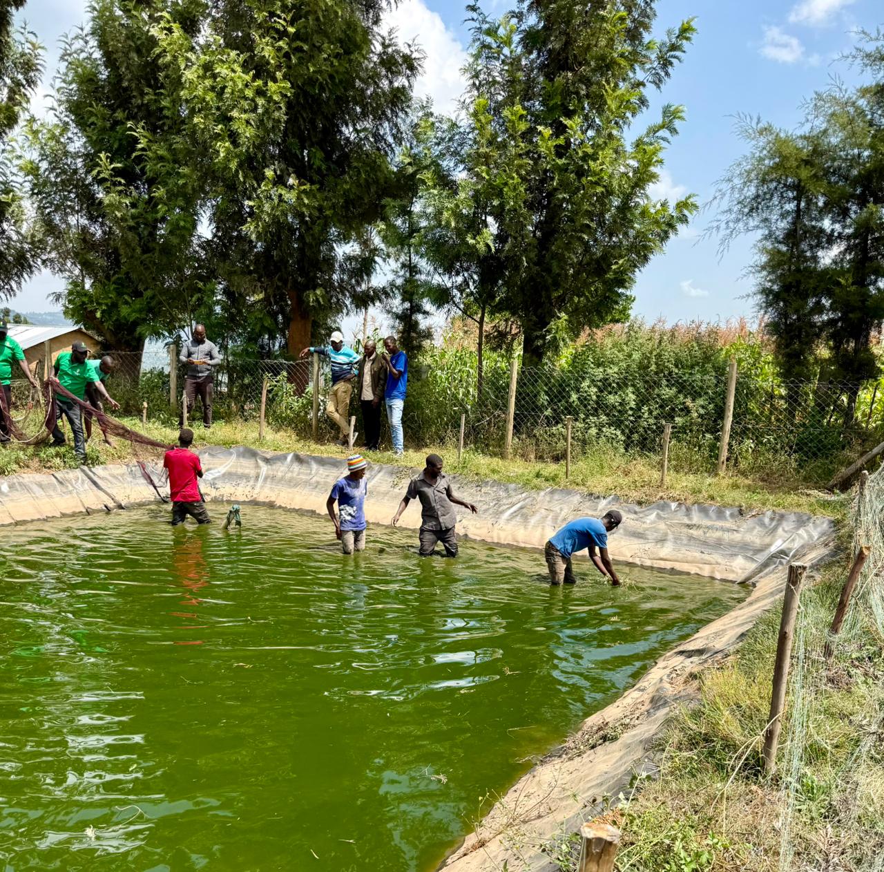 hepsaita Aquaculture Project