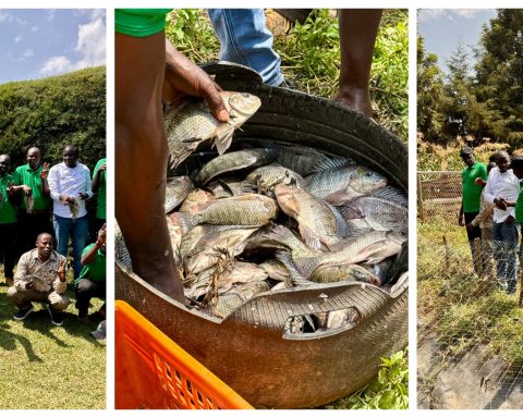 Chepsaita Aquaculture Project