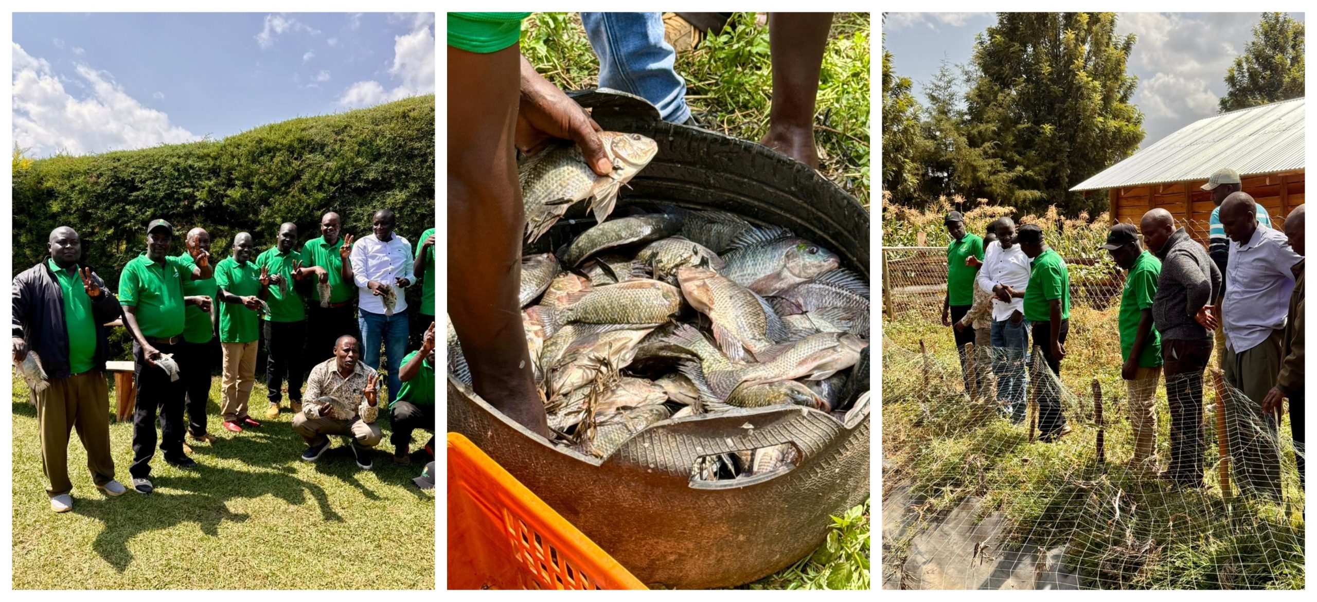 Chepsaita Aquaculture Project