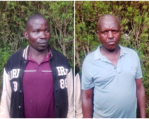 Eldoret Police Arrest Two Suspects, Recover Over 600 Bags of Suspected Counterfeit Fertiliser