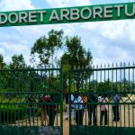 Eldoret Arboretum