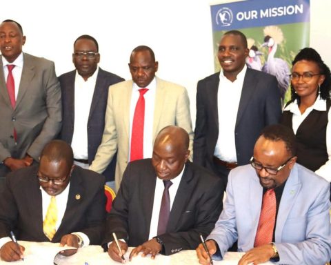 Uasin Gishu Signs MoU with International Crane Foundation to Rescue Endangered Cranes