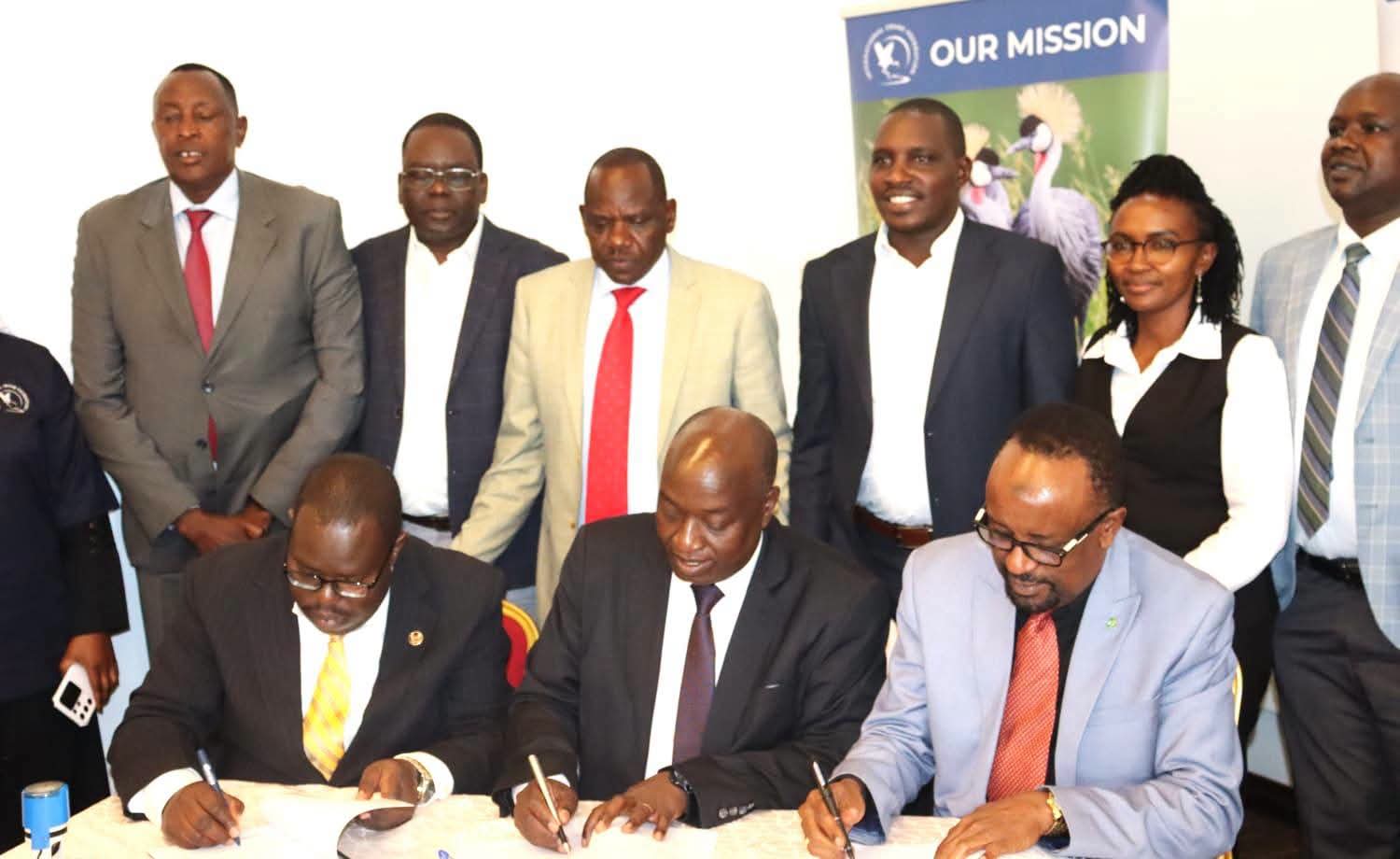 Uasin Gishu Signs MoU with International Crane Foundation to Rescue Endangered Cranes