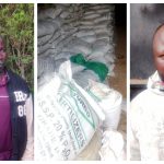 Two of the eight suspects arrested in crackdown on counterfeit fertiliser in Uasin Gishu.