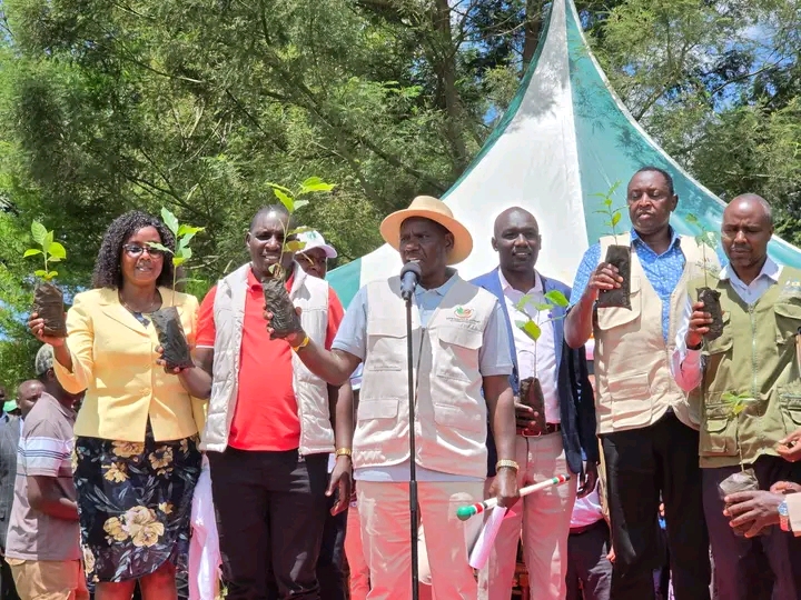 Governor Bii Distributes Free Coffee Seedlings for Another 99 Acres in Kesses