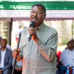 National Assembly Speaker Moses Wetang'ula