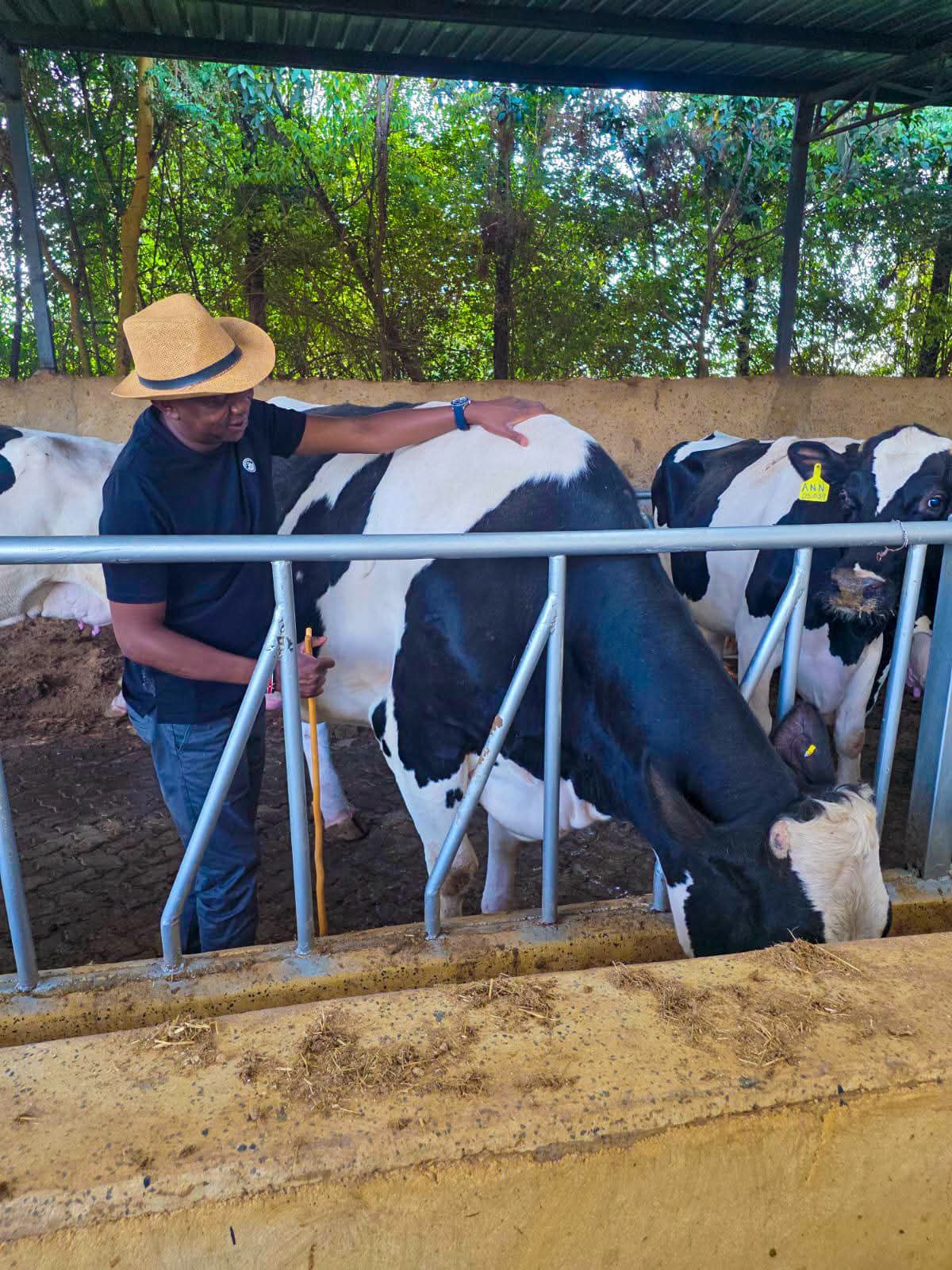 Kapseret MP Oscar Sudi at his dairy farm in Uasin Gishu County