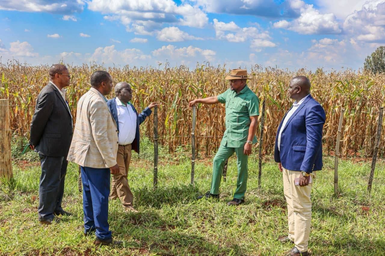 CS Kagwe assess maize production Trans Nzoia