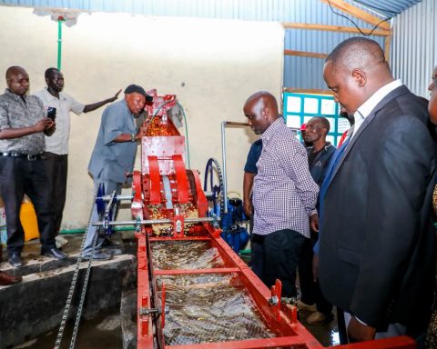 Governor Rotich Commissions Coffee Cherry Pulping Machine in Kocholwo