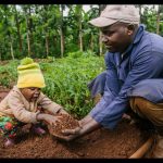 An African farmer with his kid in a farm