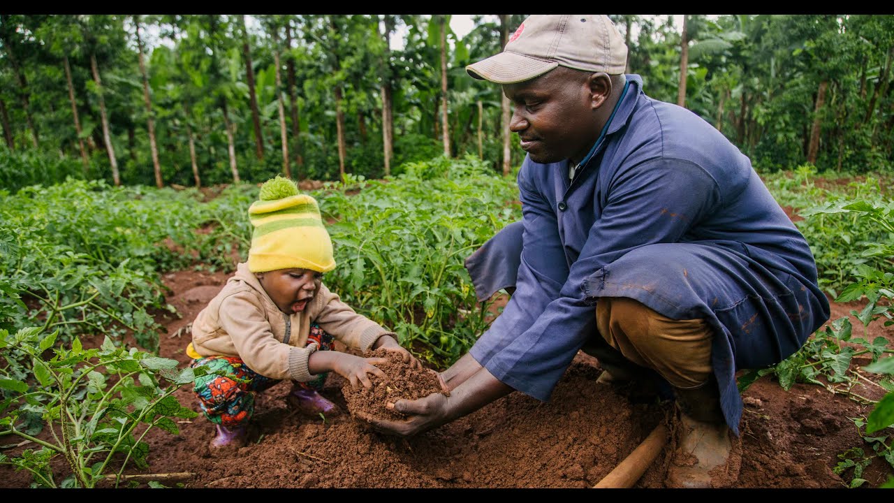 An African farmer with his kid in a farm