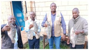 Uasin Gishu Agriculture CECM Sam Kotut (second right) with county officials holding fish from Kesses Dam