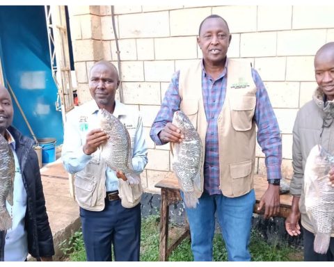 Uasin Gishu Agriculture CECM Sam Kotut (second right) with county officials holding fish from Kesses Dam