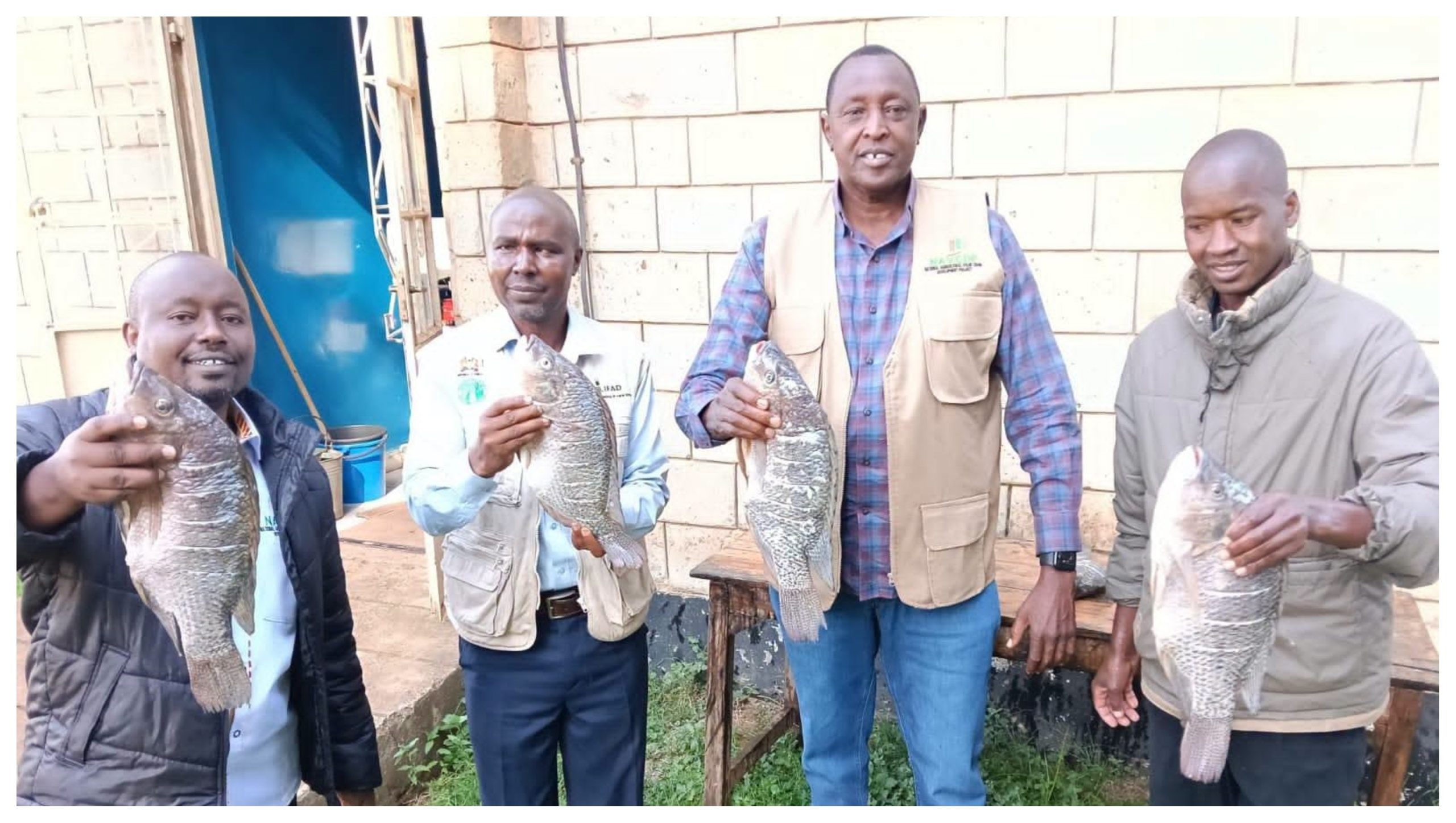 Uasin Gishu Agriculture CECM Sam Kotut (second right) with county officials holding fish from Kesses Dam