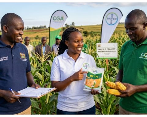 Uasin Gishu Partners with CGA and Bayer to Boost Maize Yields