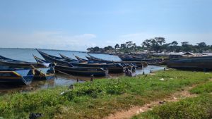 Kitosi landing site in Koome Sub county in Mukono district.